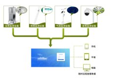 在番石榴的種植中，農業四情監測系統有何作用？